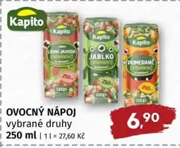 Terno OVOCNÝ NÁPOJ vybrané druhy nabídka