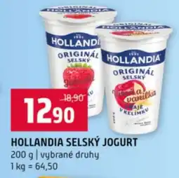Terno Hollandia Selský jogurt nabídka