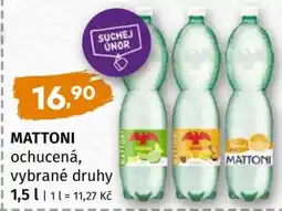 Terno Mattoni nabídka