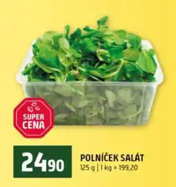 Terno Polníček salát nabídka