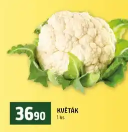 Terno Květák nabídka