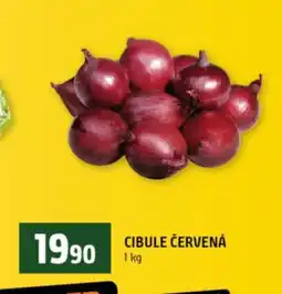 Terno Cibule červená nabídka