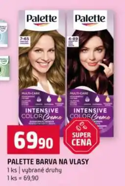 Terno Palette Barva na vlasy nabídka