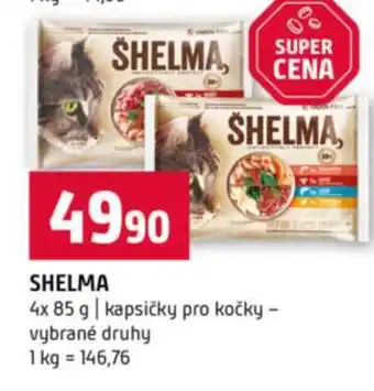 Terno Shelma nabídka