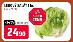 Terno Ledový salát 1 ks nabídka