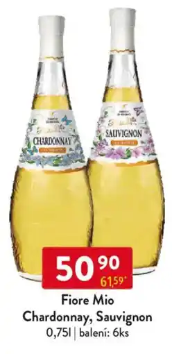 Qanto Fiore Mio Chardonnay, Sauvignon nabídka