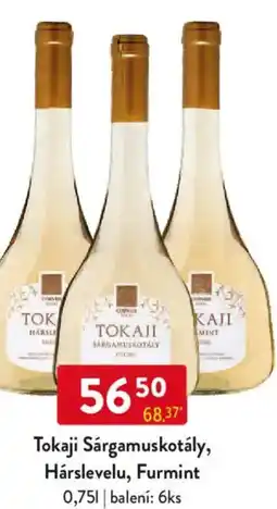 Qanto Tokaji Sárgamuskotály, Hárslevelu, Furmint nabídka