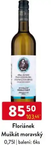 Qanto Floriánek Muškát moravský nabídka