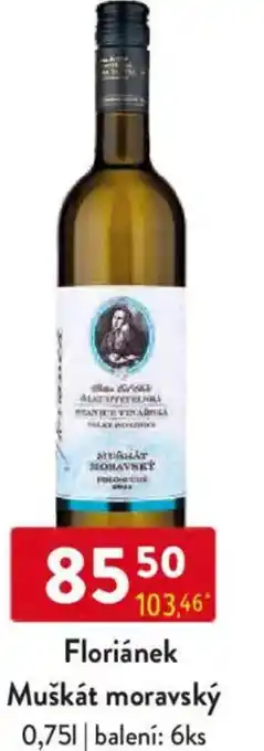 Qanto Floriánek Muškát moravský nabídka