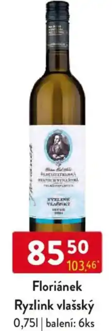 Qanto Floriánek Ryzlink vlašský nabídka