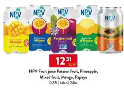 Qanto NPV Fruit juice Passion fruit, Pineapple, Mixed fruit, Mango, Papaya nabídka