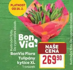 Billa BonVia Flora Tulipány kytice XL 1 svazek nabídka
