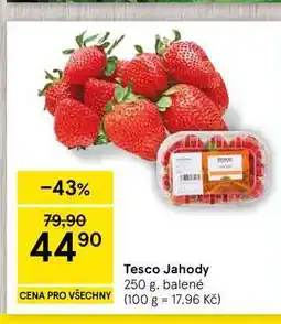 Tesco Tesco Jahody nabídka