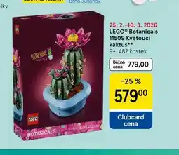 Tesco LEGO Botanicals 11509 Kvetoucí kaktus nabídka