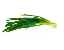 Albert Cibule lahůdková 1 svazek nabídka