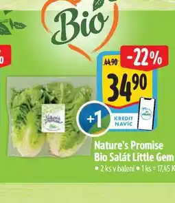 Albert Nature's Promise Bio Salát Little Gem 2 ks nabídka