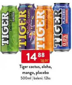 Qanto Tiger cactus, aloha, mango, placebo nabídka