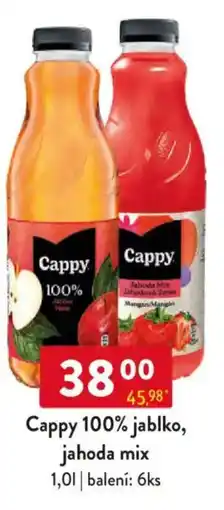 Qanto Cappy 100% jablko, jahoda mix nabídka