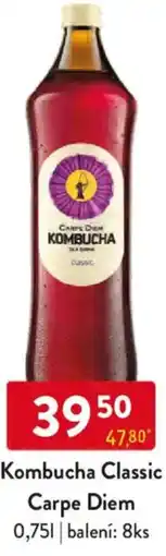 Qanto Kombucha Classic Carpe Diem nabídka