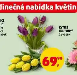 Penny Market KYTICE TULIPÁNY, 1 svazek nabídka