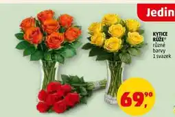 Penny Market KYTICE RŮŽE, 1 svazek nabídka