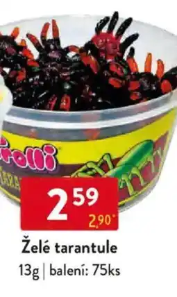 Qanto Želé tarantule nabídka