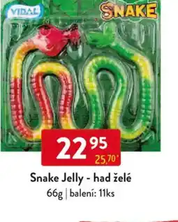 Qanto Snake Jelly - had želé nabídka