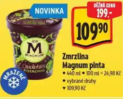 Albert Zmrzlina Magnum pinta nabídka