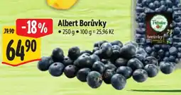 Albert Albert Borůvky nabídka