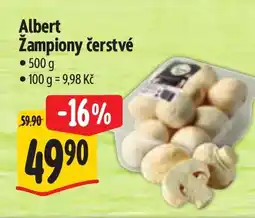 Albert Albert Žampiony čerstvé nabídka