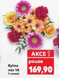 Kaufland Kytice mix nabídka