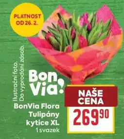 Billa BonVia Flora Tulipány kytice XL nabídka