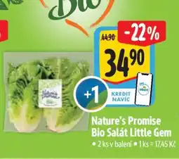 Albert Nature‘s Promise Bio Salát little gem nabídka