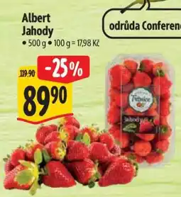 Albert Albert Jahody nabídka