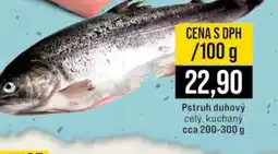 Jip Pstruh duhový nabídka