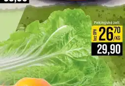 Jip PEKINGSKÉ ZELÍ nabídka
