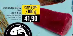 Jip Tuňák žlutoploutvý nabídka