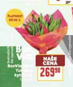 Billa Kytice nabídka