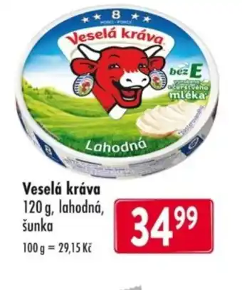 Qanto Veselá kráva nabídka