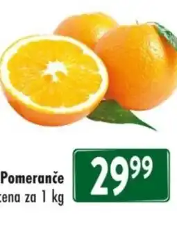 Qanto Pomeranče nabídka