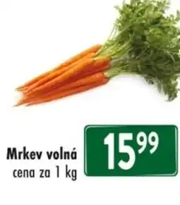 Qanto Mrkev volná nabídka