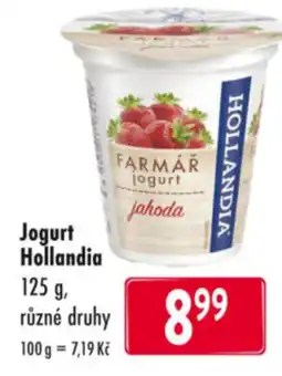 Qanto Jogurt Hollandia nabídka