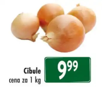 Qanto Cibule nabídka