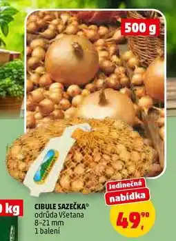 Penny Market CIBULE SAZEČKA, 1 balení nabídka