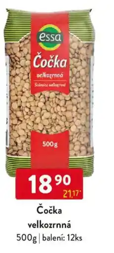 Qanto Essa Čočka velkozrnná nabídka