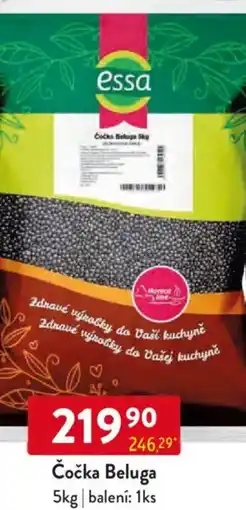 Qanto Essa Čočka Beluga nabídka