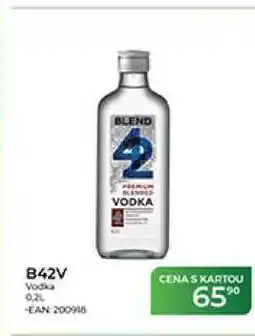 Tamda Foods B42V Vodka nabídka