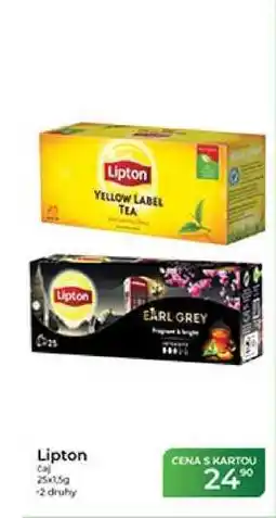 Tamda Foods Lipton nabídka