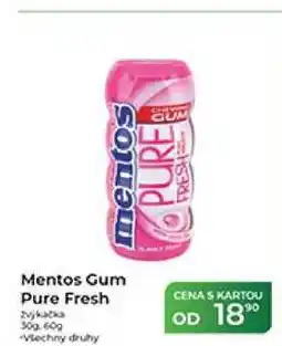 Tamda Foods Mentos Gum Pure Fresh nabídka