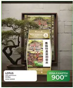 Tamda Foods LOTUS rýže jasminová nabídka